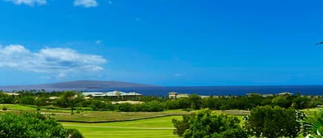 Spectacular Ocean view from lanai