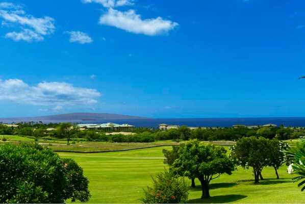 Spectacular Ocean view from lanai