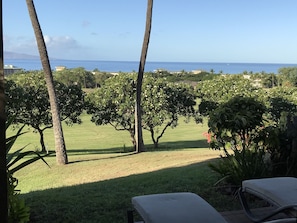 Ocean View from living room