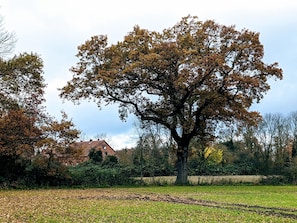 Boendeområde