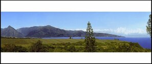 This panoramic view from the cottage is spectacular! Ocean, mountains, coastline