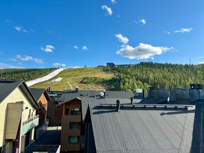 Vista desde la habitación