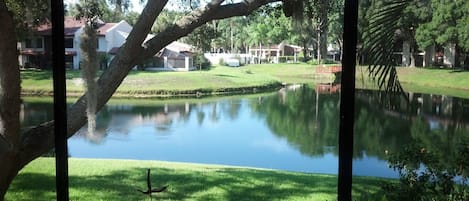 View from Living Room Window