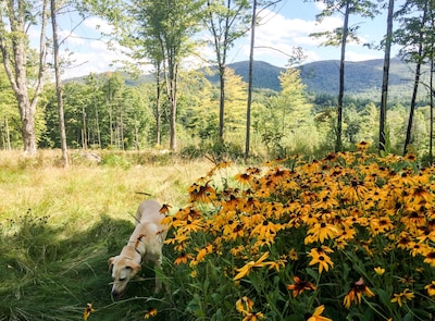 Glamp Thomas On Adk Farm Offers Privacy, Stargazing And Mountain Views