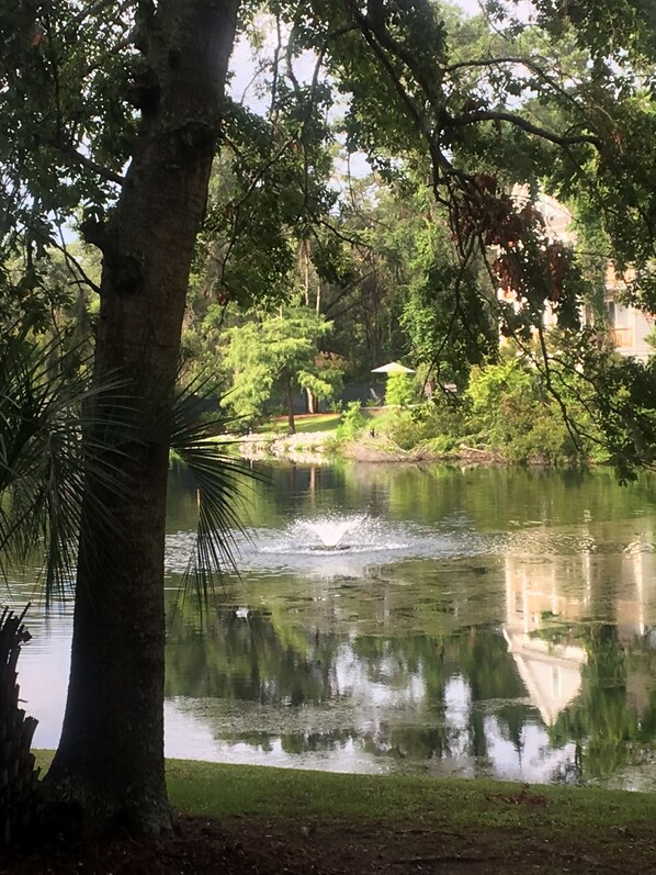 Lagoon view from balcony