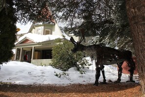 Caribou on the front lawn