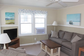Living Room with TV