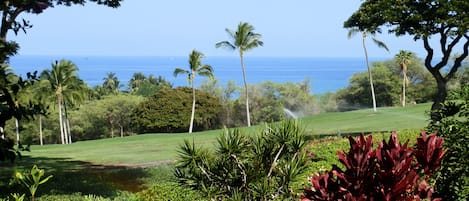 View from our Lanai (Patio).