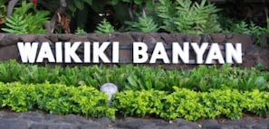 Waikiki Banyan
