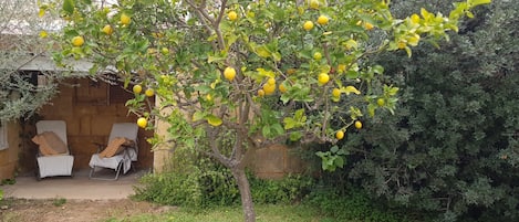 Terrenos do alojamento