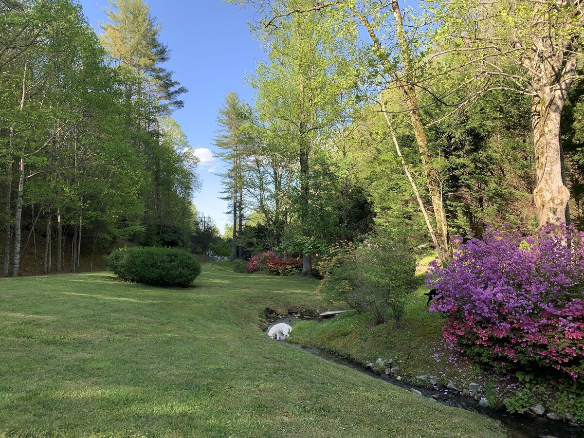 Luxury Cabin Overlooking Large Trout Pond on Former Summer Camp.. Come & Play