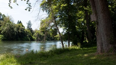 The Vintage Cottage with riverfront access