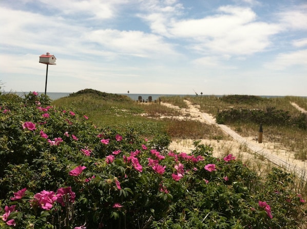 Walkway to your private beach