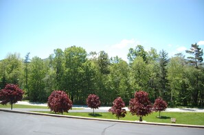 View from front deck, beautiful front yard