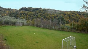 Terrain de sport