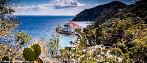 CATALINA pictured by one of our past guests...thanks HANK!