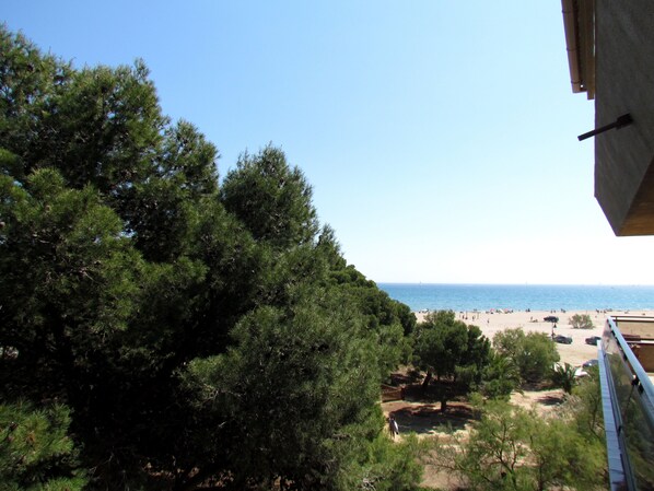 View from the terrace