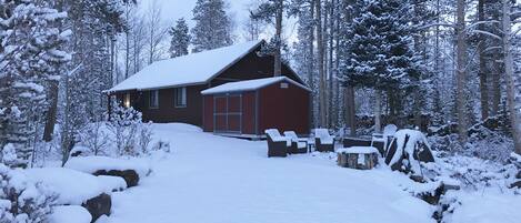 Snowy Moose Manor!