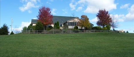 Looking at the rear of the house from the lower back yard