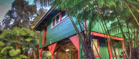 Hale Hubner rests in the heart of the lush fern rainforest of Volcano Village