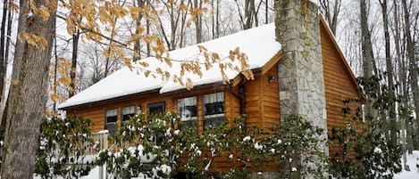 Red Run Cabin - Winter