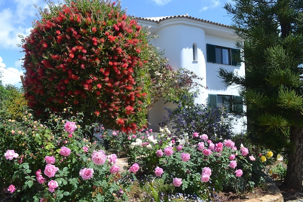 Casa Josephina rose terraces