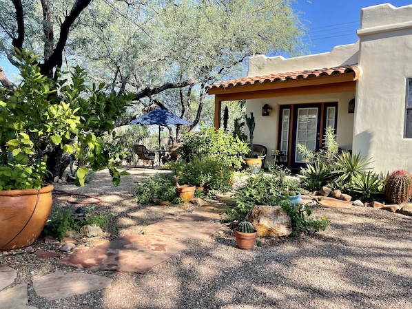 Terassi/patio