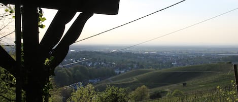 Aussicht von Terasse ins Rheintal