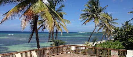 The Pink Beach House boasts an expansive deck and pool directly on the Caribbean