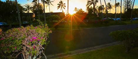 View Of The Sunset Over The Golf Course & Pool, Looking From The Condo's Lanai