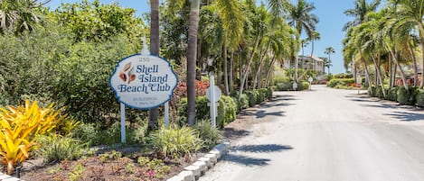 Welcome to Shell Island Beach Club!!