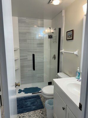 2nd fl main bath adjacent to primary BR. All new fixtures. Newly painted