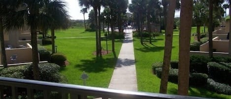 View of Ocean and Ocean Front Pool from front entry.