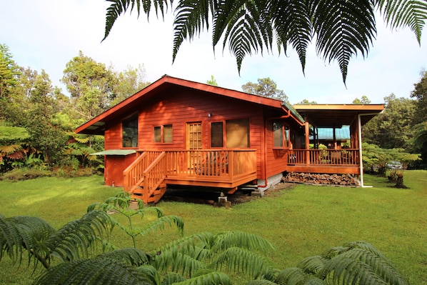 Tree Fern Escape. Just 5 minutes from Hawaii Volcanoes National Park.