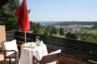 Ferienwohnung in Südhanglage , 1000 Meter Hoch, beste klimatische Naturlage