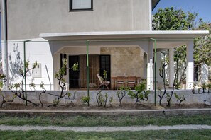 Terrace (37 m2) with vineyard pergola. 