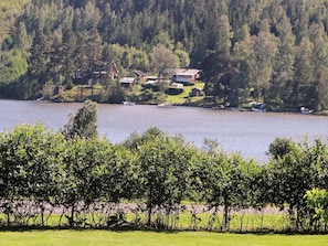 Lake view