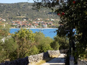 View from the garden
