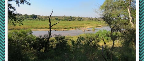 Our view from Foxy Crocodile bush Retreat 