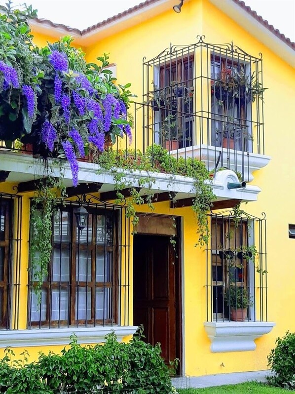Villa's façade and blooming Nazareno