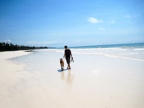 Diani beach - a short stroll from the house