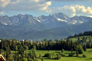 View from terrace