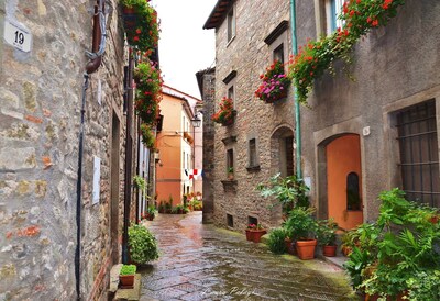 Nice apartment in Tuscan Villa