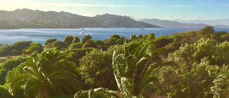 vista  dal balcone