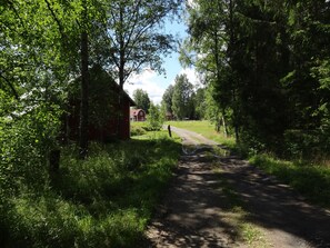 kurze Anfahrt durch einen kleinen Wald und Felder
