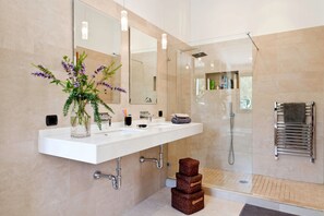 Master bathroom view 2