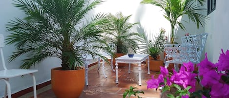 Terrazza/patio