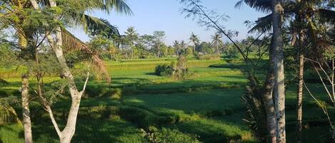 Terrenos do alojamento