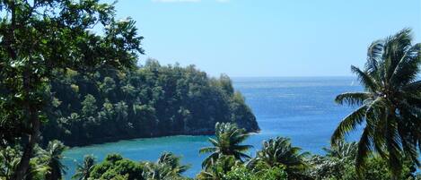 Your view into Toucari bay from Treetops deck