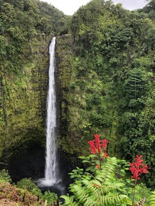 STAY HERE for BEST OCEANFRONT VIEWS in KONA, HI